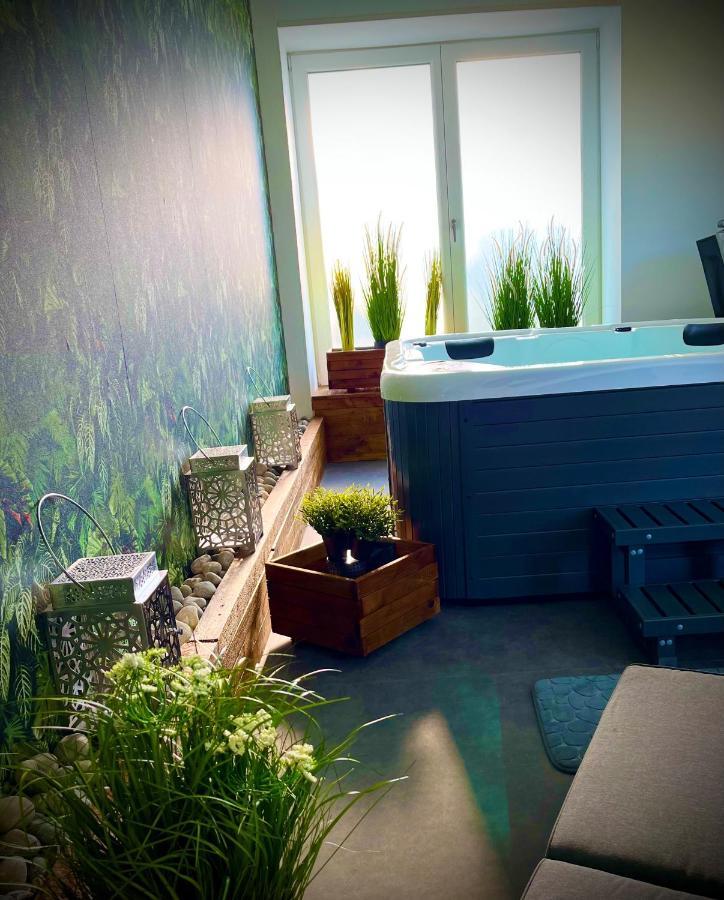 Le Manoir Des Haies Spa Les Champs-Géraux Kültér fotó