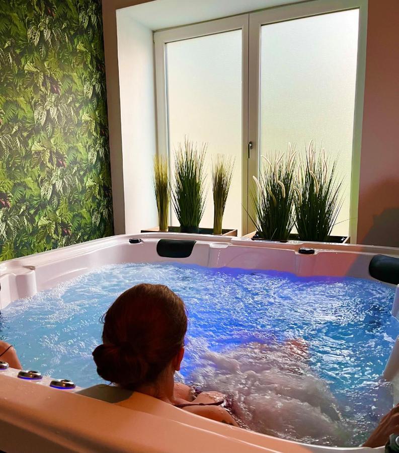 Le Manoir Des Haies Spa Les Champs-Géraux Kültér fotó